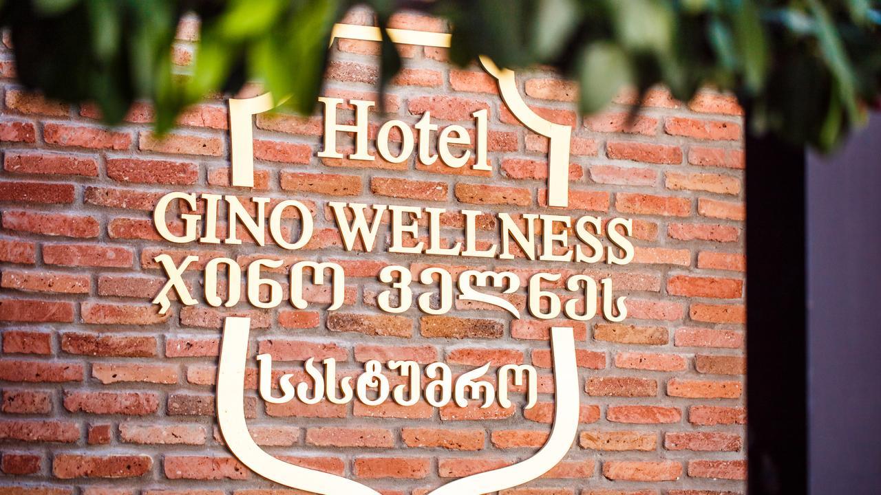 Hotel Gino Wellness Mtsʼkhetʼa 외부 사진