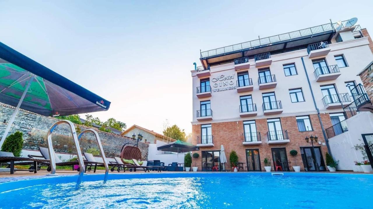 Hotel Gino Wellness Mtsʼkhetʼa 외부 사진